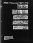 Woman at home; Dogs (14 Negatives), October 25-26, 1966 [Sleeve 79, Folder c, Box 41]